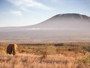 Satao Elerai Camp is located in a 5 000ac / 2 000ha private conservation area facing Africa’s giant, Mount Kilimanjaro.