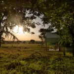 Le camp offre un hébergement confortable et une occasion unique de vivre l'expérience d'un véritable camp de safari.