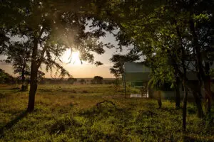 The camp offers comfortable accommodation and a unique opportunity to enjoy a real safari camp experience.