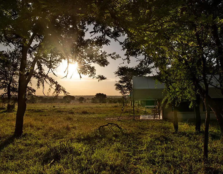 The camp offers comfortable accommodation and a unique opportunity to enjoy a real safari camp experience.
