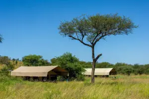 Transport yourself back in time to the simplicity of a bygone era.