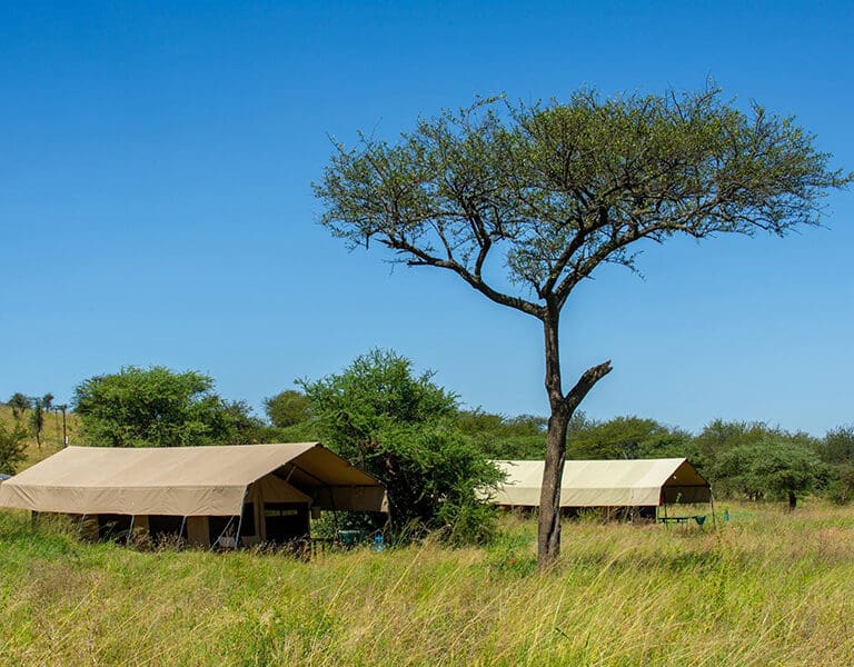 Transport yourself back in time to the simplicity of a bygone era.
