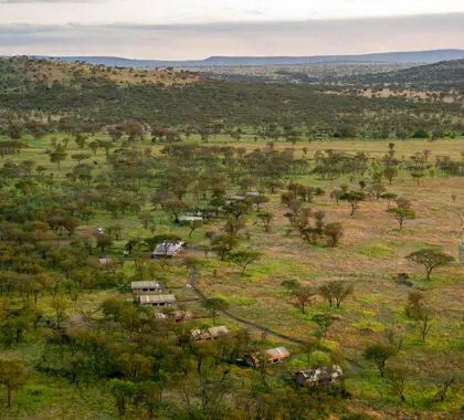 Aerial view of Serengeti Kati Kati.