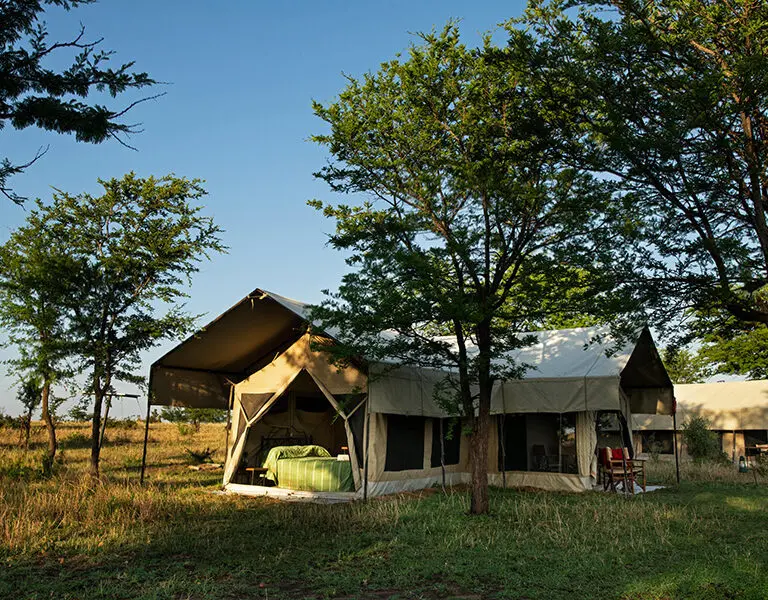 The family tent. 