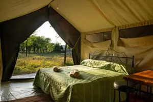 Tented suites are down-to-earth and are equipped with all of the essentials including an en suite bathroom.