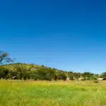 Ici, dans le Serengeti, vous êtes vraiment dans la nature sauvage africaine.