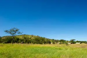 Here in the Serengeti you are truly out in the African wilderness.