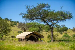 Tented accommodation at Serengeti Kati Kati.