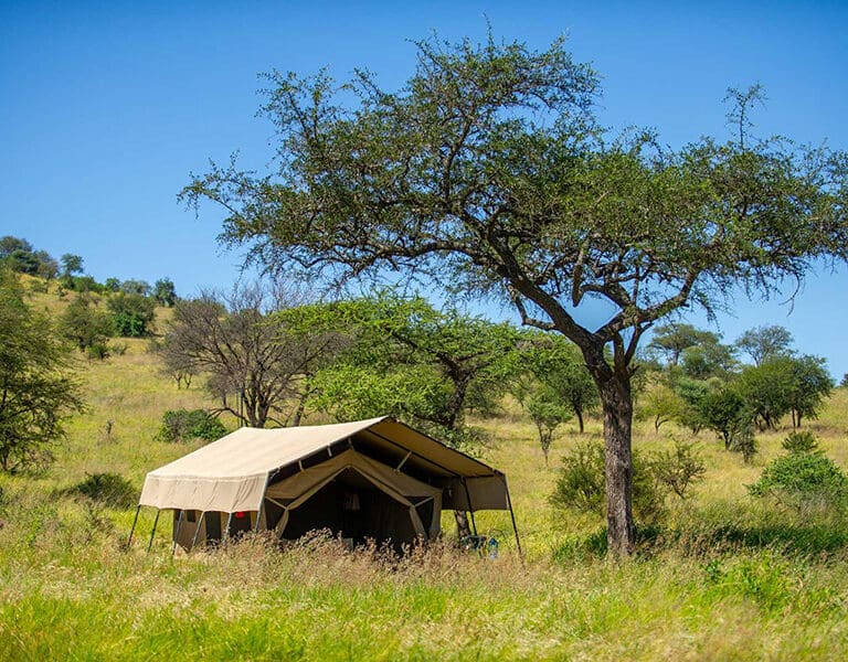 Tented accommodation at Serengeti Kati Kati.