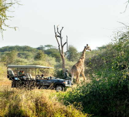 10 Best Luxury Kruger Safaris
