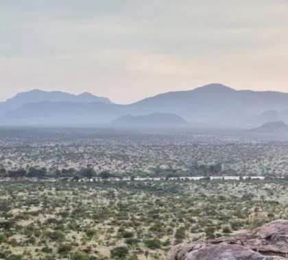 Guía de la Reserva Nacional Samburu de Kenia