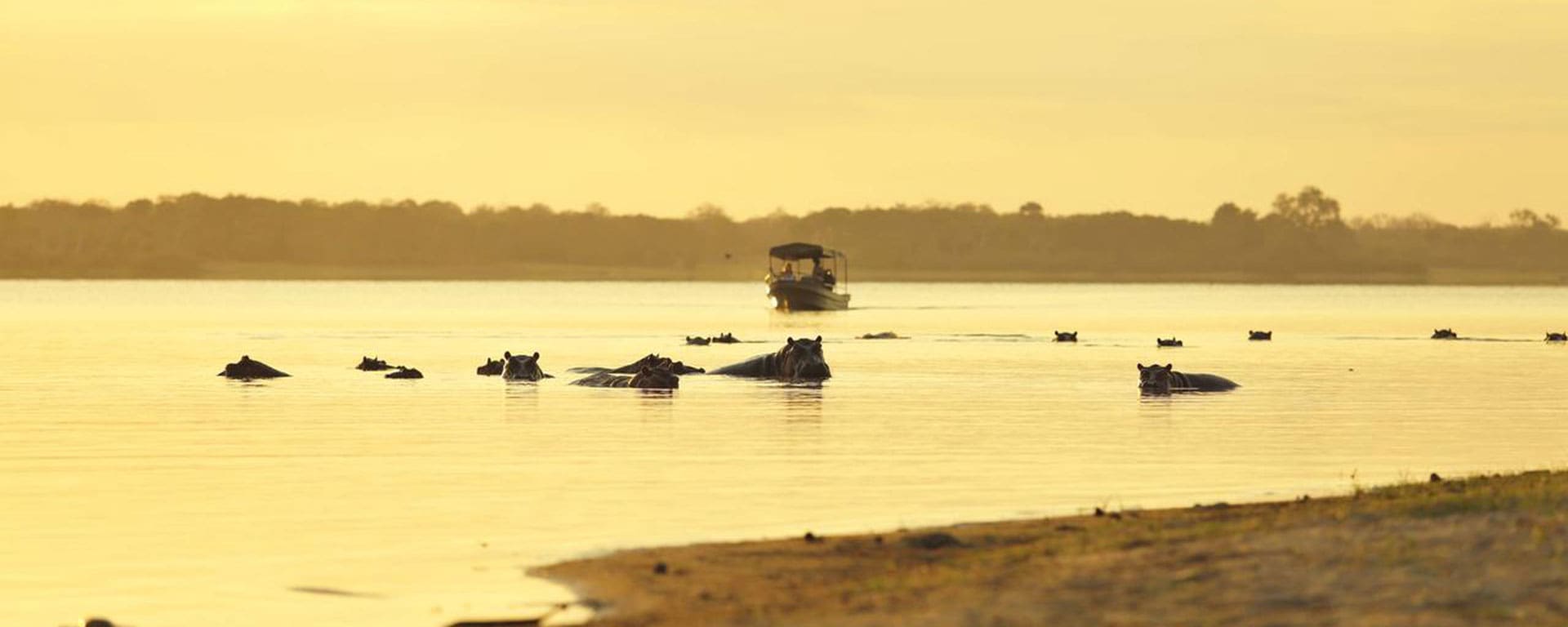 boating_safari_hippo_spot-2