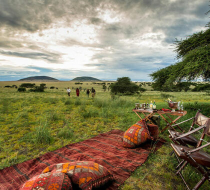 The perfect place to dine and relax between safari expeditions and for evening sundowners.