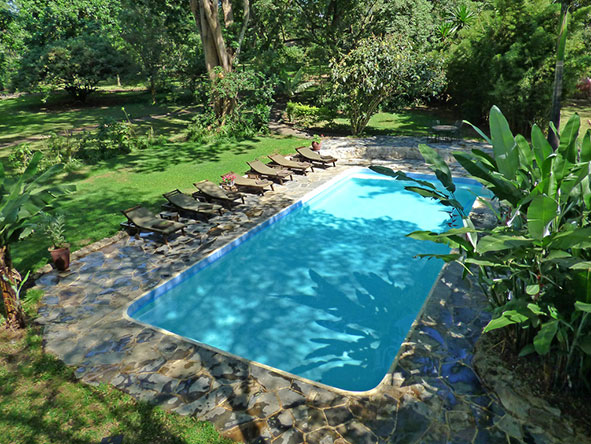rivertreesSwimming-pool-3
