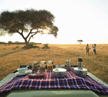 See the sun rise while enjoying a picnic breakfast.