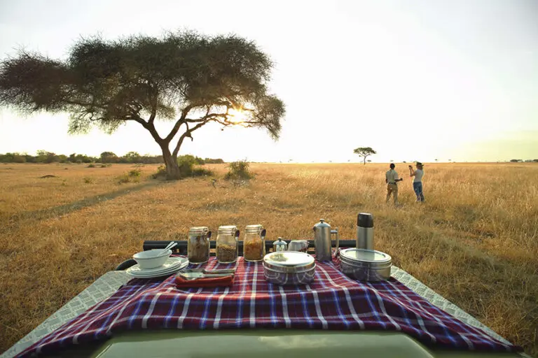 See the sun rise while enjoying a picnic breakfast.