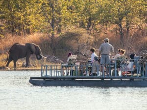 Musango ofrece excepcionales experiencias de safari, combinando safaris en vehículo con safaris en barco por el lago.