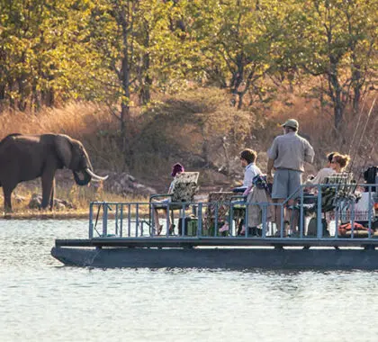 Musango ofrece excepcionales experiencias de safari, combinando safaris en vehículo con safaris en barco por el lago.