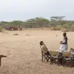 Dine with elephants in view at Saruni Rhino.
