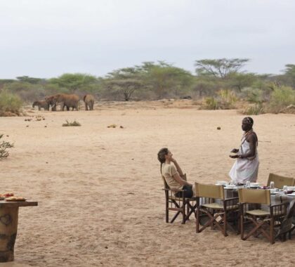 Dine with elephants in view at Saruni Rhino.