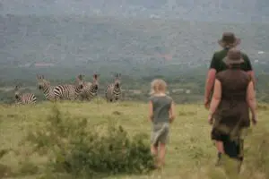 Enjoy nature walks in the Lemek Conservancy with Saruni Wild.