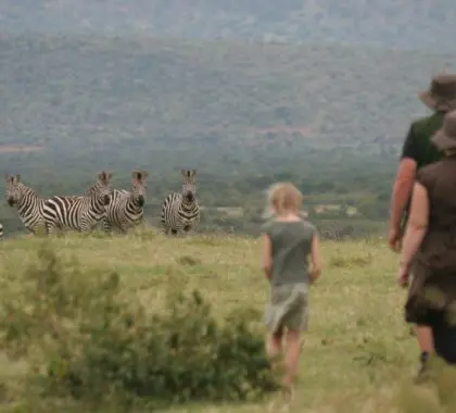 Enjoy nature walks in the Lemek Conservancy with Saruni Wild.