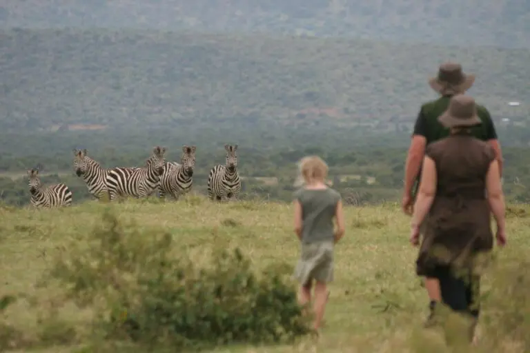 Disfrute de paseos por la naturaleza en Lemek Conservancy con Saruni Wild.