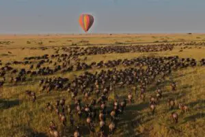 Front row seats to witness the Wildebeest Migration.