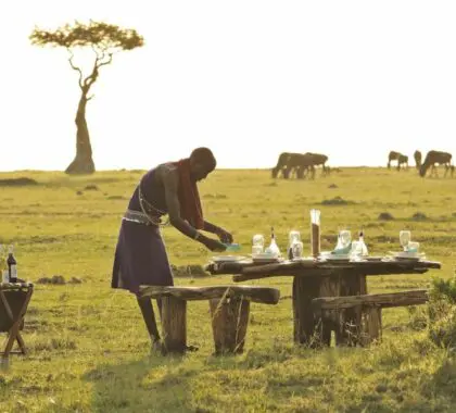 Enjoy the wilderness right on your doorstep at Saruni Wild.