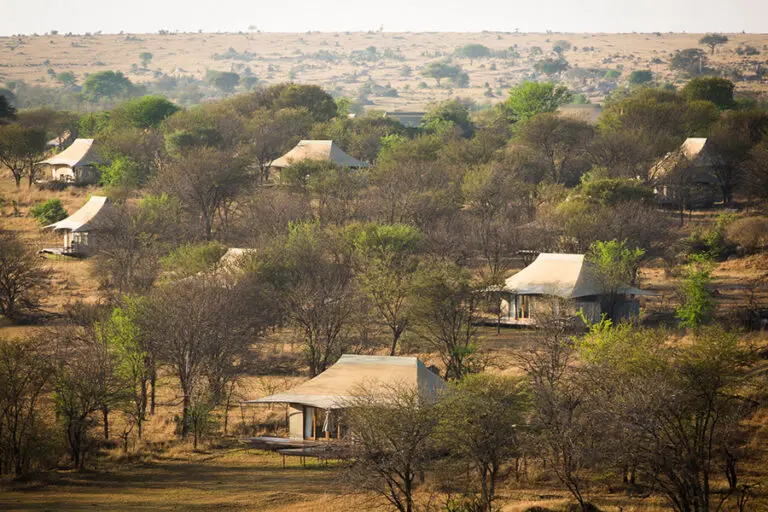Sayari Camp.