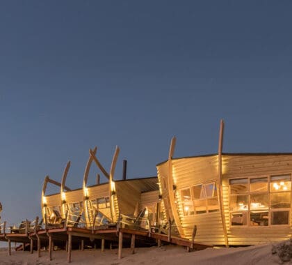 shipwreck-lodge-zona principal_2