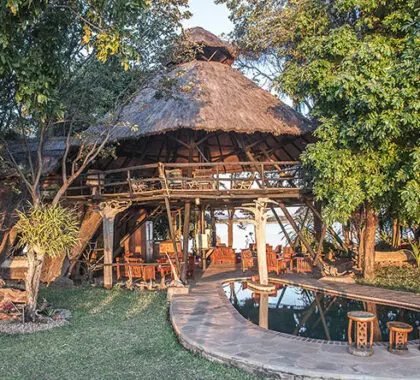 Musango Camp cuenta con un acogedor edificio de dos plantas con un cómodo salón y un bar bien surtido.