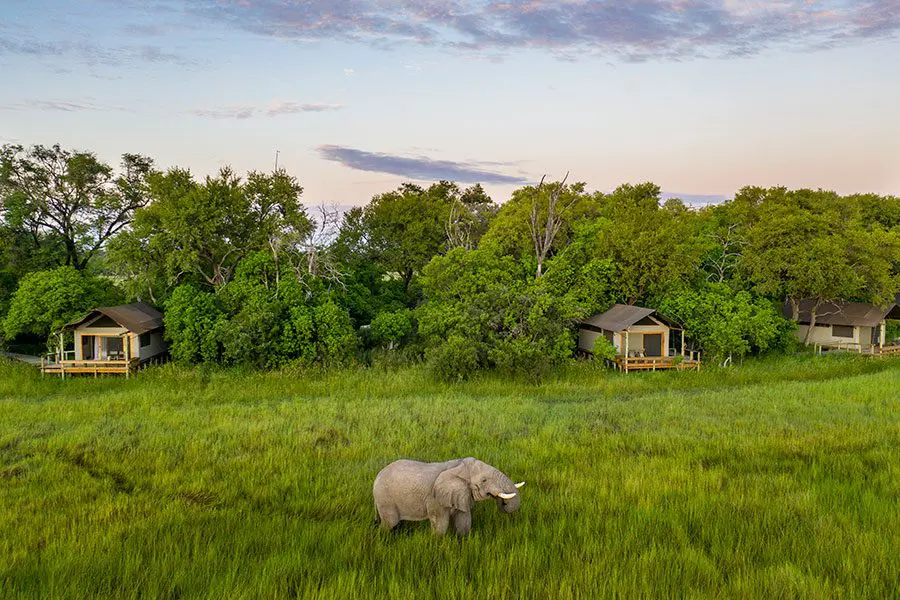 Little Sable guest tent exterior with a roaming ellie.