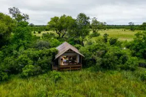 Little Sable guest tent exterior with a roaming ellie.