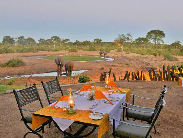 Disfrute de una cena al aire libre con vistas al valle de Lesoma, hogar de la mayor población de elefantes africanos.