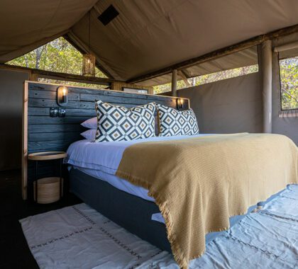 Little Sable, guest tent interior, Okavango Delta, Botswana