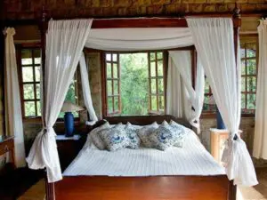 The beds are draped with mosquito nets and have large windows that overlook the lush garden.