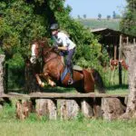 Equestrian enthusiasts can enjoy activities like hacking, cross country riding and polo. 