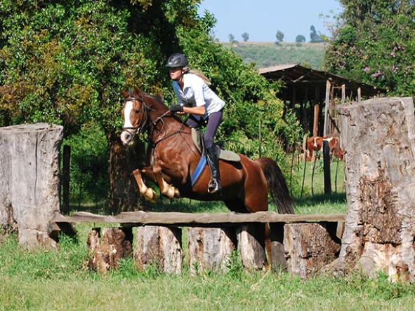 Equestrian enthusiasts can enjoy activities like hacking, cross country riding and polo. 