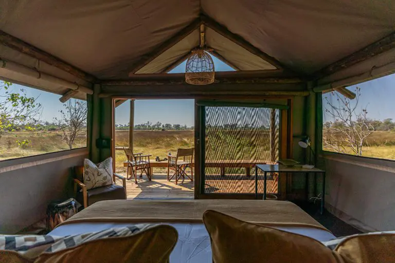 View from inside the guest tent.