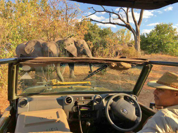 En el Elephant Valley Lodge, los huéspedes pueden disfrutar de safaris diarios en 4x4.
