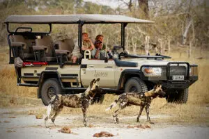 Des safaris passionnants.