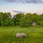 Extérieur de la tente d'hôtes Little Sable avec une ellie vagabonde.