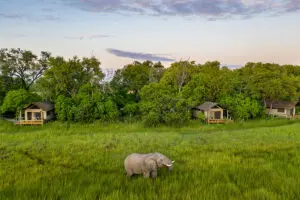 Extérieur de la tente d'hôtes Little Sable avec une ellie vagabonde.