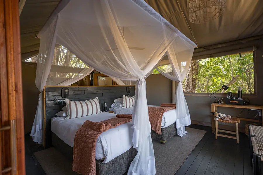bots_little-sable_family-tent-interior-3