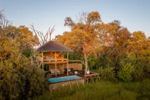 The swimming pool deck and elevated viewing lounge.