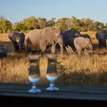 Observation de la faune depuis le camp.