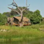 Campamento Savuti.