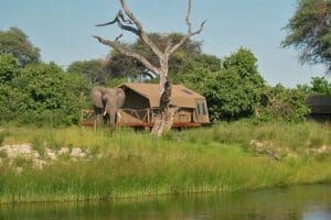 Campamento Savuti.