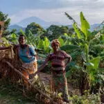  Experience the colourful Friday market for a feast of local life and the large variety of goods on offer. Sample wholesome traditional foods prepared with the finest of locally-grown ingredients.
